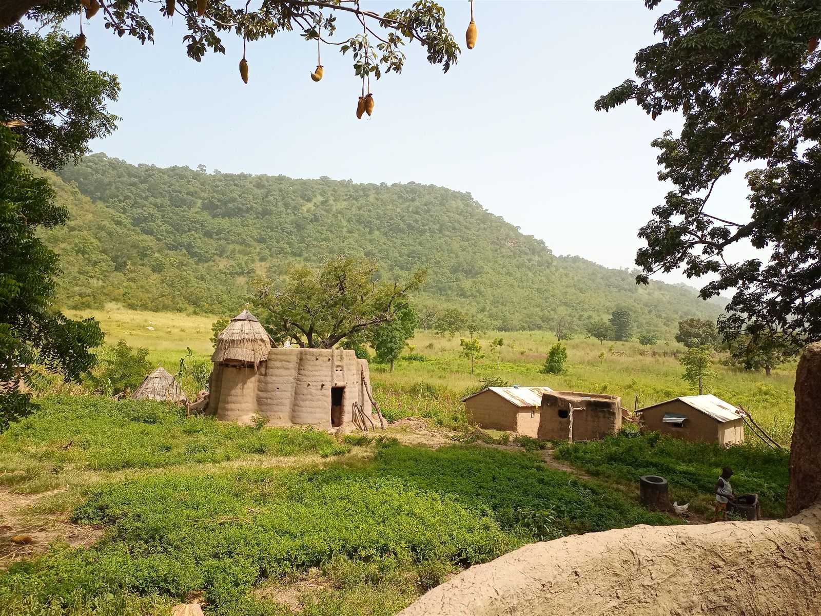 Paysage de Koutammakou